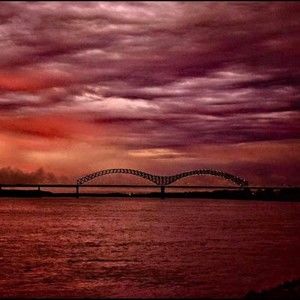 Meet your Posher, Avian